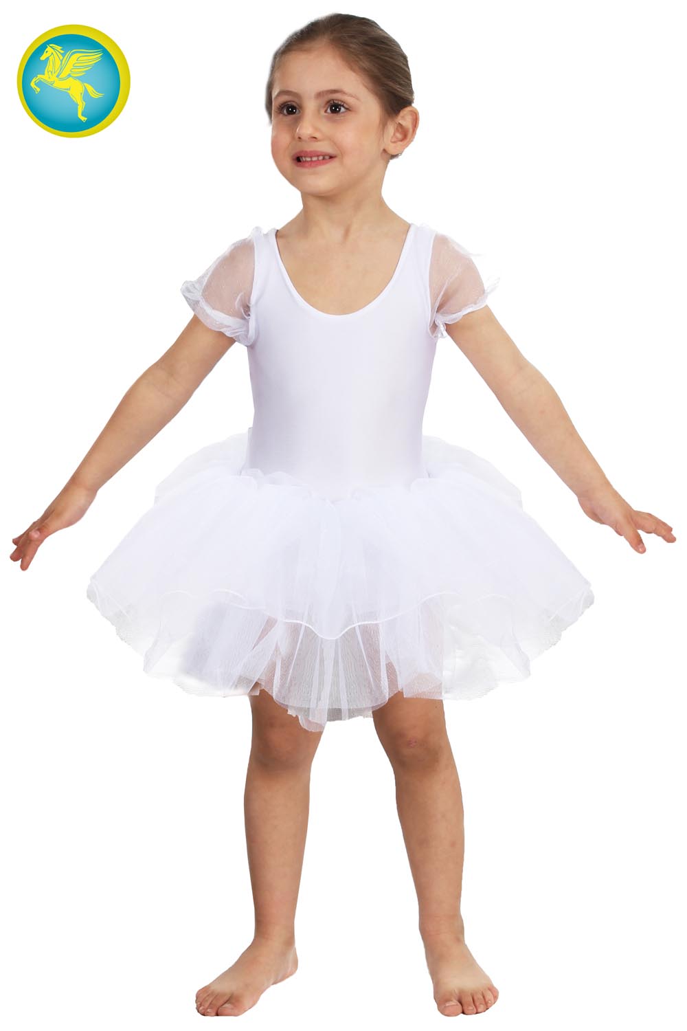 BALLERINA DANZA CLASSICA 